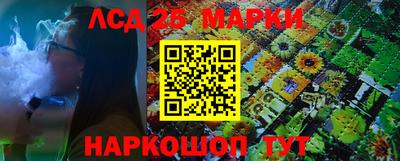 прущие грибы Анапа