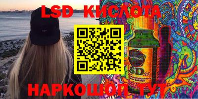 прущие грибы Анапа
